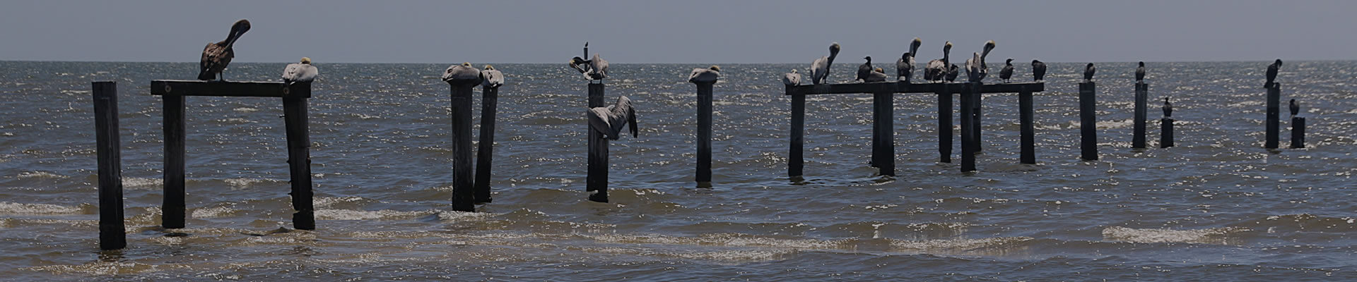 LOOP Oil Spill Claims Lawyer – Claims for Fishermen, Seafood Businesses, and Others Affected by the February 26, 2026 Spill